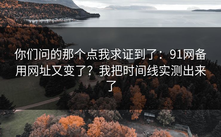 你们问的那个点我求证到了：91网备用网址又变了？我把时间线实测出来了