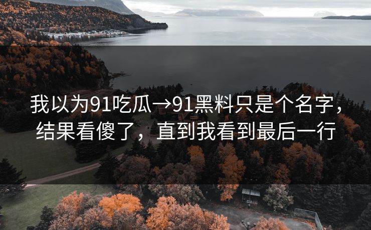 我以为91吃瓜→91黑料只是个名字，结果看傻了，直到我看到最后一行
