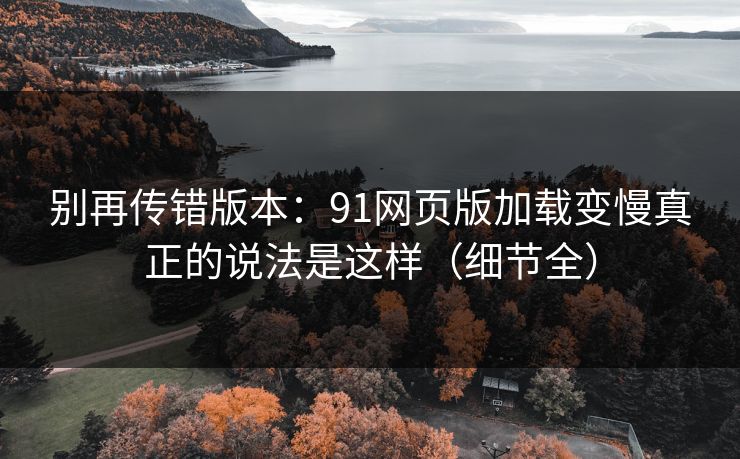 别再传错版本：91网页版加载变慢真正的说法是这样（细节全）