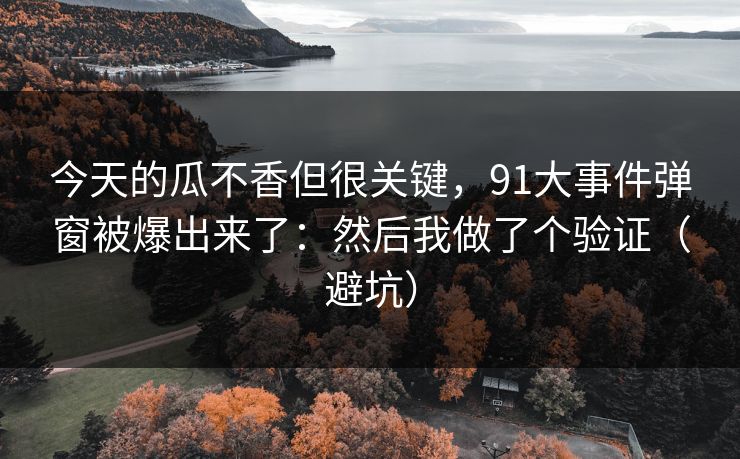 今天的瓜不香但很关键，91大事件弹窗被爆出来了：然后我做了个验证（避坑）