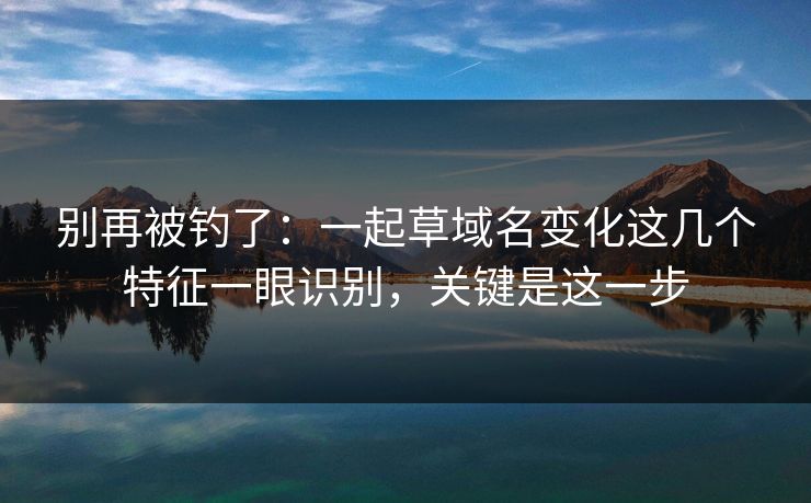 别再被钓了：一起草域名变化这几个特征一眼识别，关键是这一步
