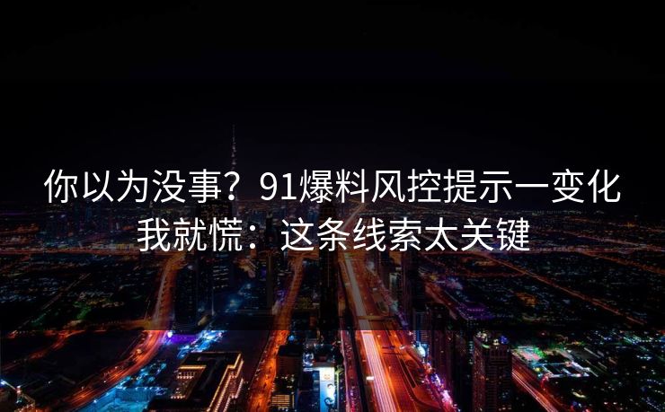 你以为没事？91爆料风控提示一变化我就慌：这条线索太关键