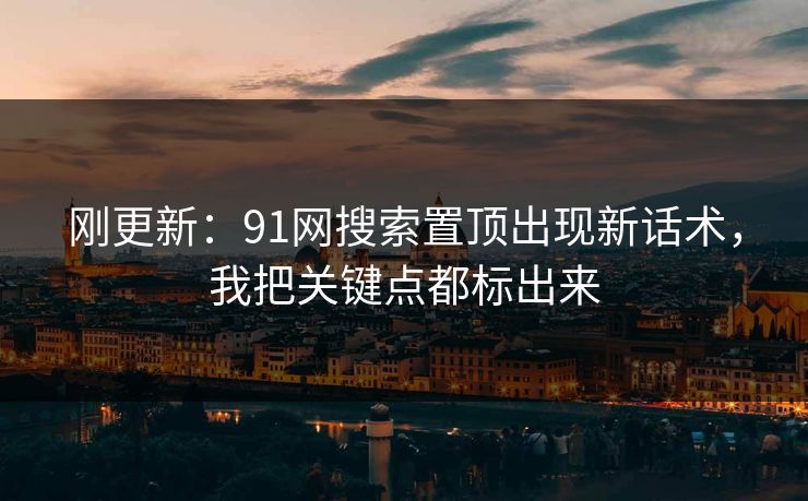 刚更新：91网搜索置顶出现新话术，我把关键点都标出来