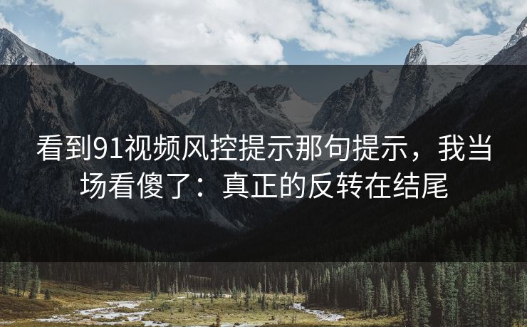 看到91视频风控提示那句提示，我当场看傻了：真正的反转在结尾